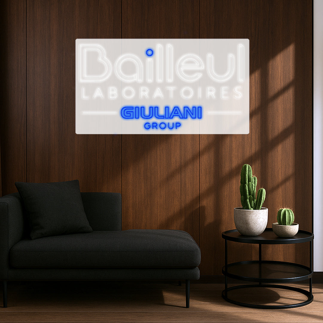 Bailleul - 2 Néons LED