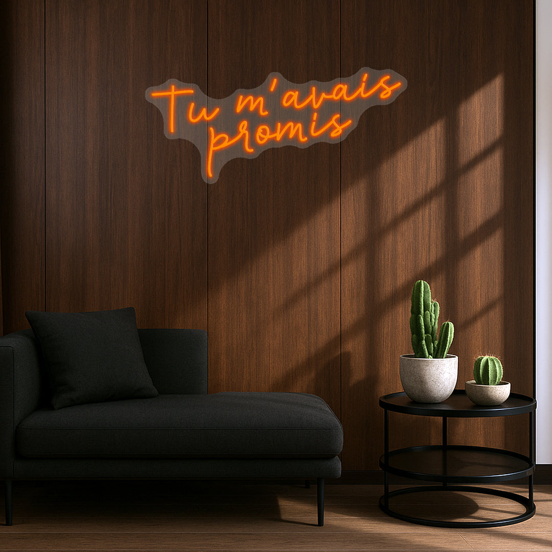 Tu m'avais promis + Solleyre - Néon LED