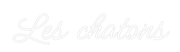 Néon LED : Les chatons