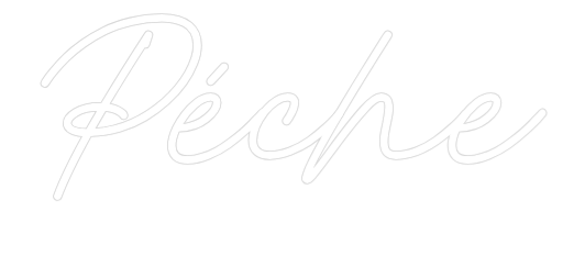 imageWhite_59001ead-b4e7-4a2a-b6df-2cc9e3849380.png