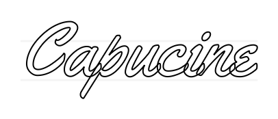 Outline Image