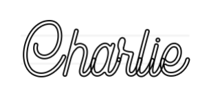 Outline Image